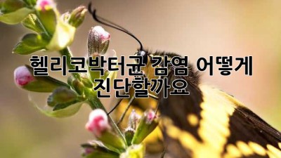 헬리코박터균 감염, 어떻게 진단할까요? 🤔🔍